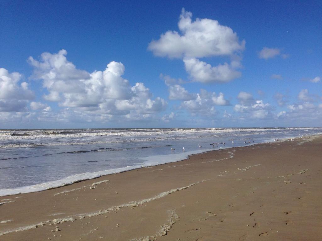 Berrie'S Sea View Διαμέρισμα Zandvoort Εξωτερικό φωτογραφία