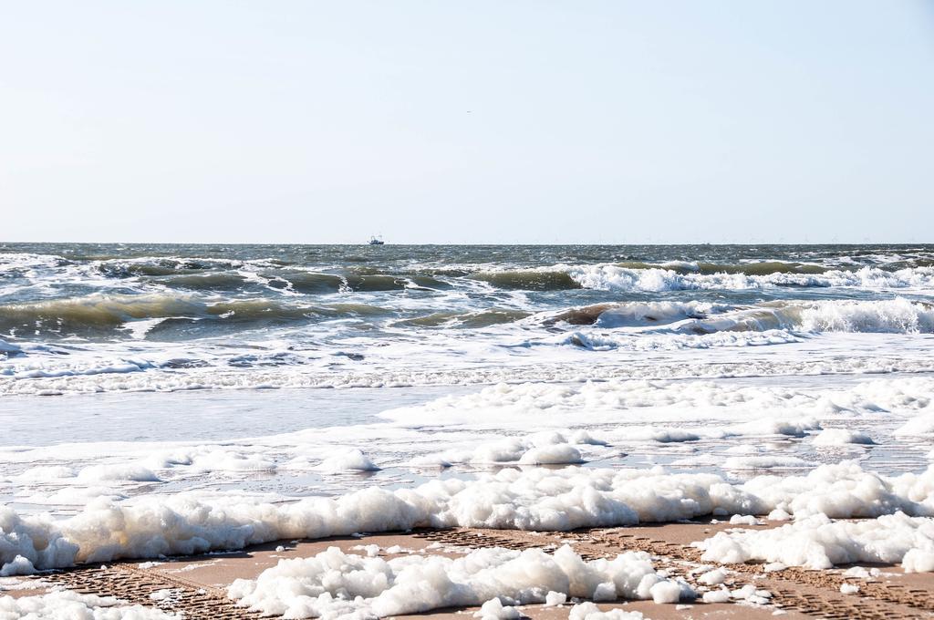 Berrie'S Sea View Διαμέρισμα Zandvoort Εξωτερικό φωτογραφία